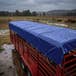 Livestock Trailer Tarp
