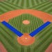 Soft Ball Base Line Tarp