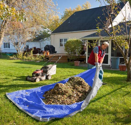 Economy Poly Tarp, Size: 10' x 12'