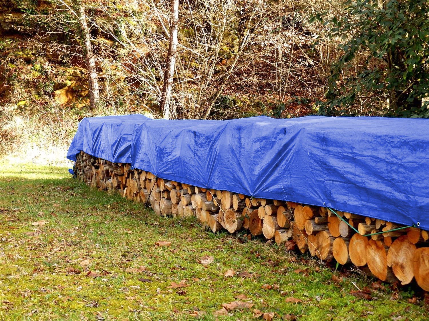 Economy Poly Tarp, Size: 8' x 10'