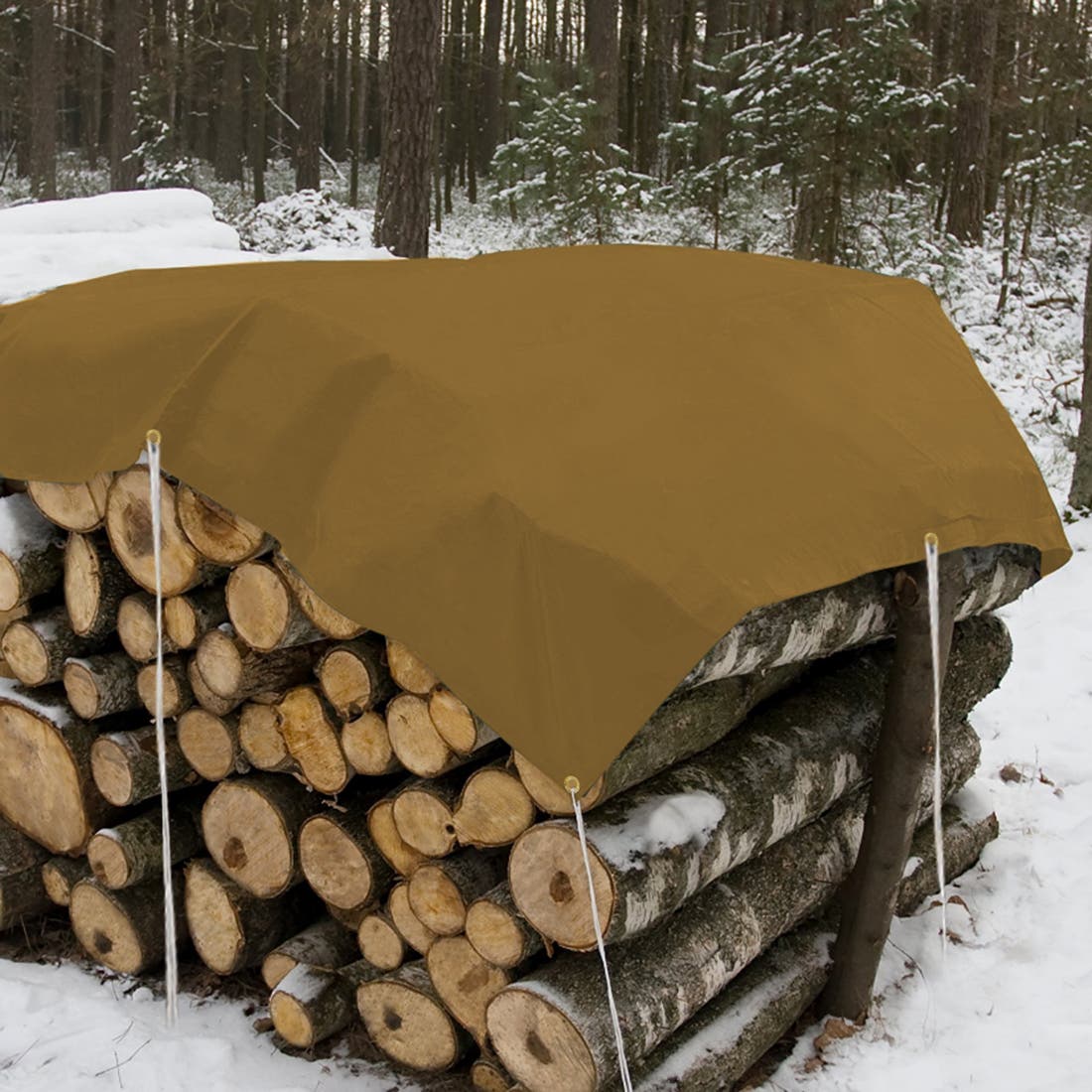 Heavy Duty Poly Tarp, Size: 6' x 8'