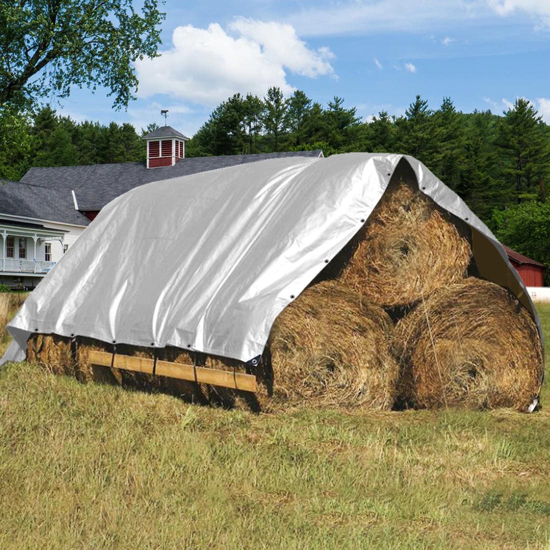 Medium Duty Poly Tarp, Size: 10' x 12'