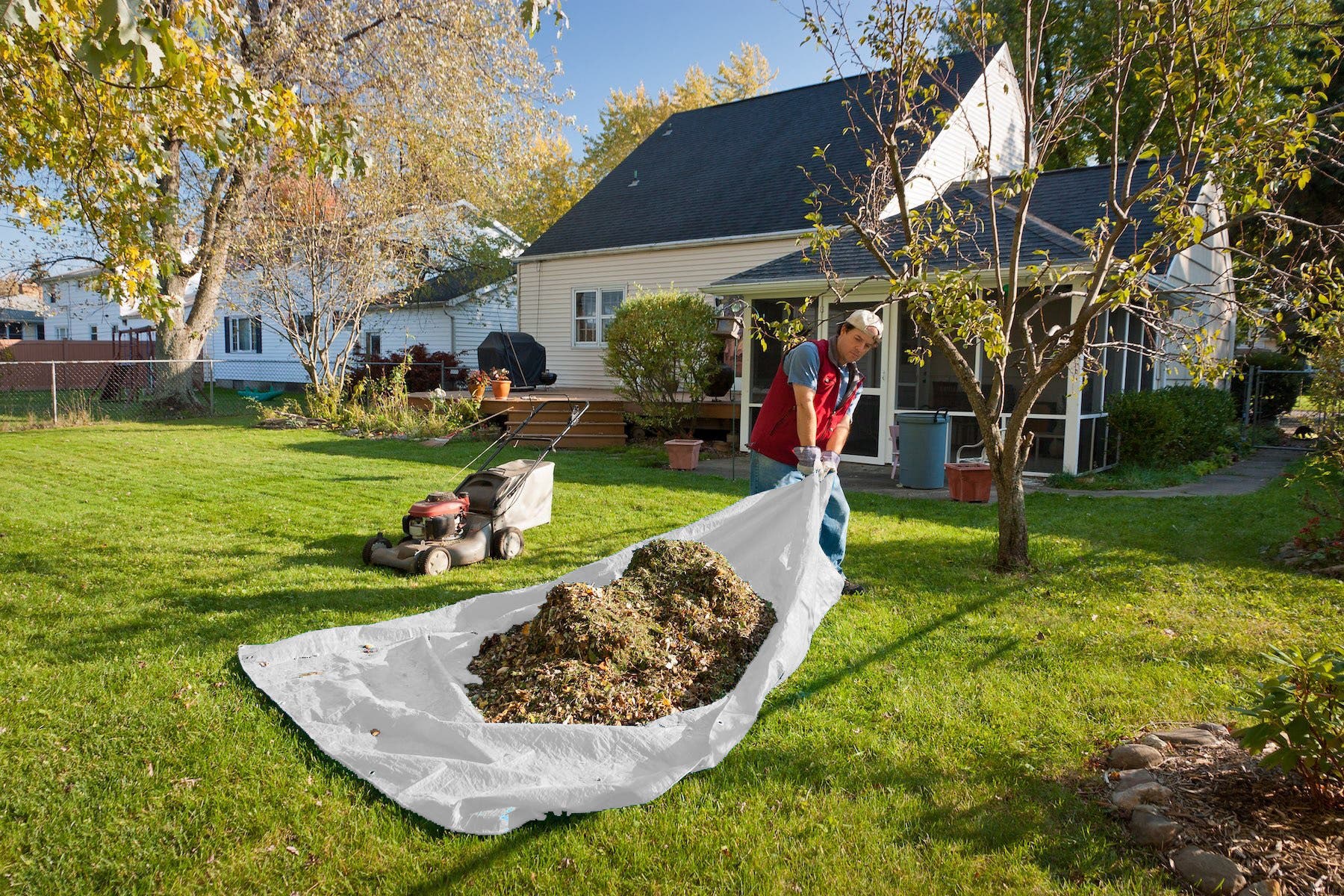 Medium Duty Poly Tarp, Size: 10' x 20'