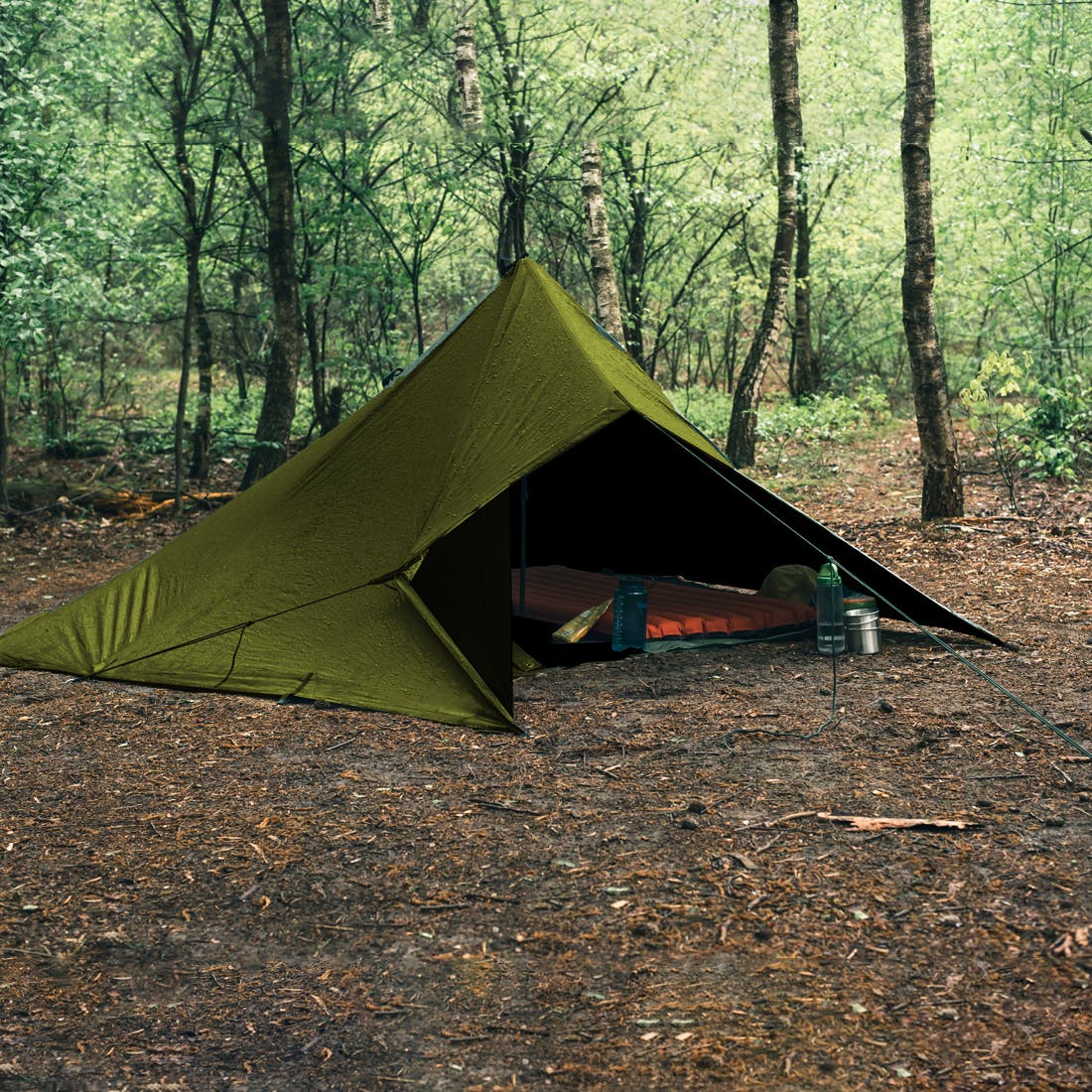 Medium Duty Poly Tarps, Size: 40' x 60'