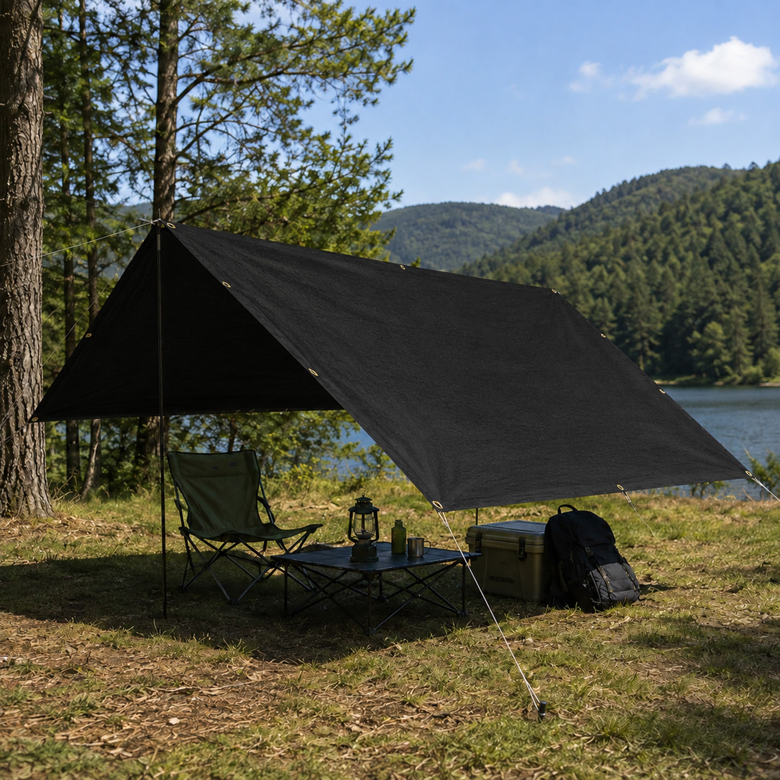 Buy Custom Black Light Duty Poly Tarps | Tarps&All