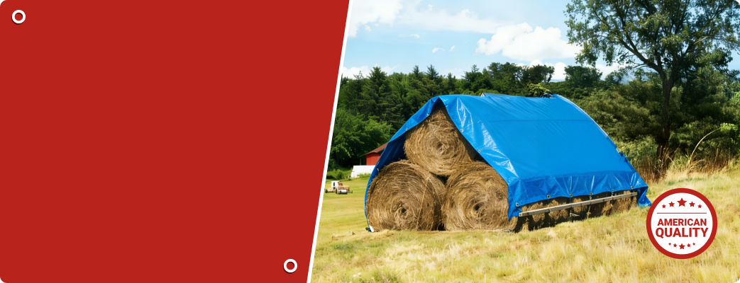 Spring_Raedy_Tarps_C1_B1_1802_0203